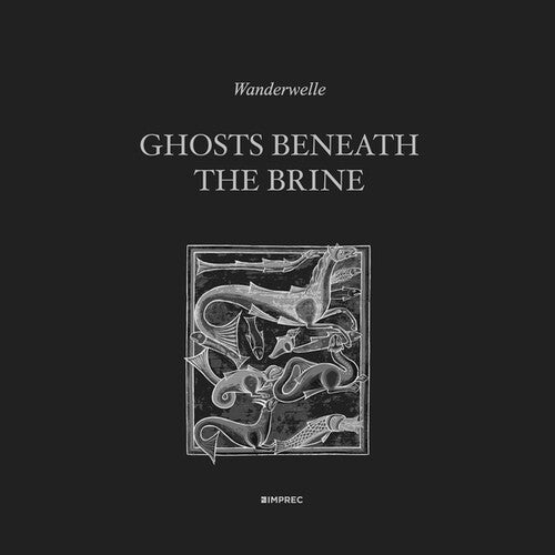 Wanderwelle: Ghosts Beneath The Brine \ LP