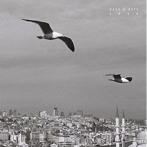 Kaae & Batz: Lush \ LP