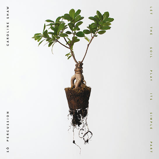 Let The Soil Play Its Simple Part - VINYL