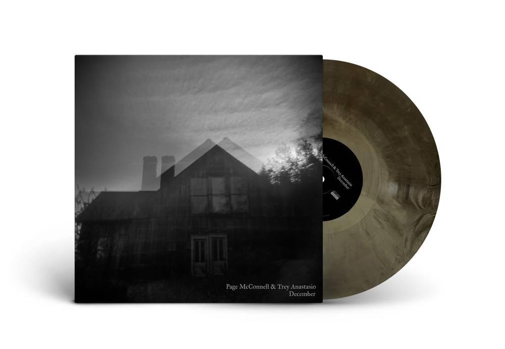 Trey Anastasio/Page McConnell (Phish)- December - VINYL