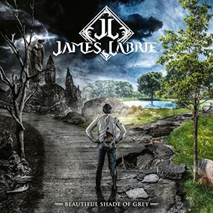 James LaBrie (Dream Theater)- Beautiful Shade Of Grey - VINYL