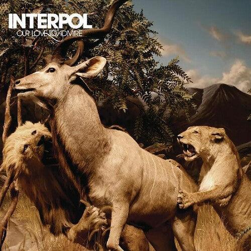 Interpol- Our Love To Admire - VINYL