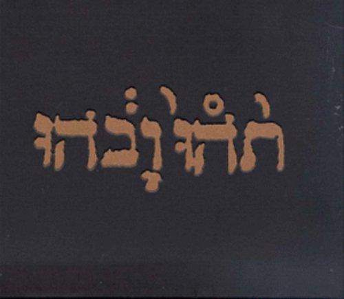 Godspeed You! Black Emperor- Slow Riot For New Zero Kanada E.P. - VINYL