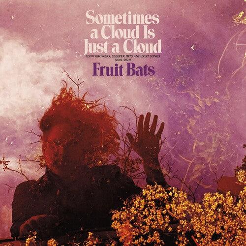 Fruit Bats- Sometimes a Cloud Is Just a Cloud: Slow Growers, Sleeper Hits and Lost Songs (2001–2021) (Pink/Violet Vinyl) - VINYL