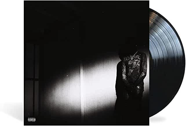 Destroy Lonely- No Stylist - VINYL