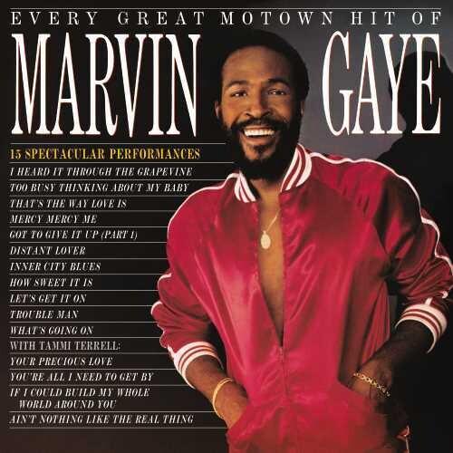 Marvin Gaye- Every Great Motown Hit Of - VINYL