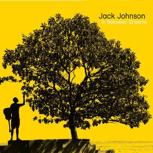 Jack Johnson- In Between Dreams - VINYL
