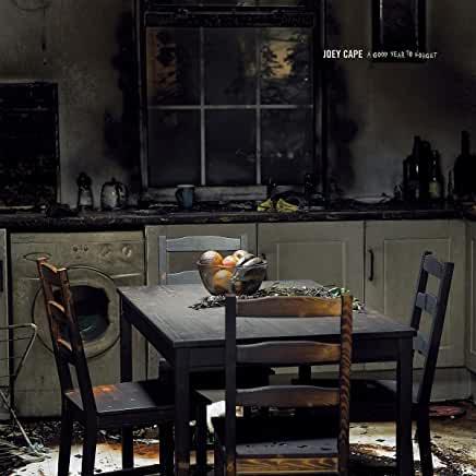 Joey Cape (Lagwagon)- A Good Year To Forget - VINYL