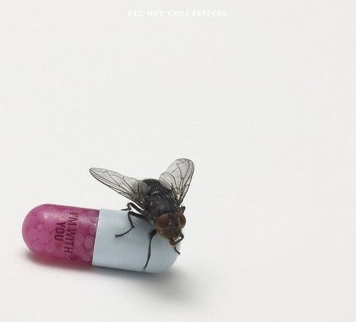 Red Hot Chili Peppers- I'm With You - VINYL