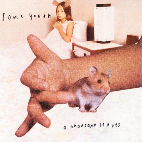 Sonic Youth- A Thousand Leaves - VINYL