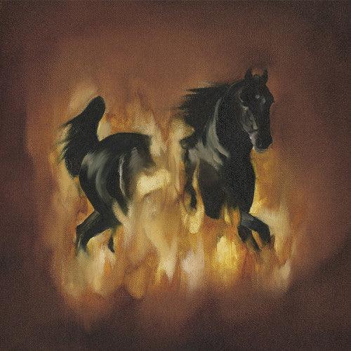 The Besnard Lakes- The Besnard Lakes Are The Dark Horse - VINYL