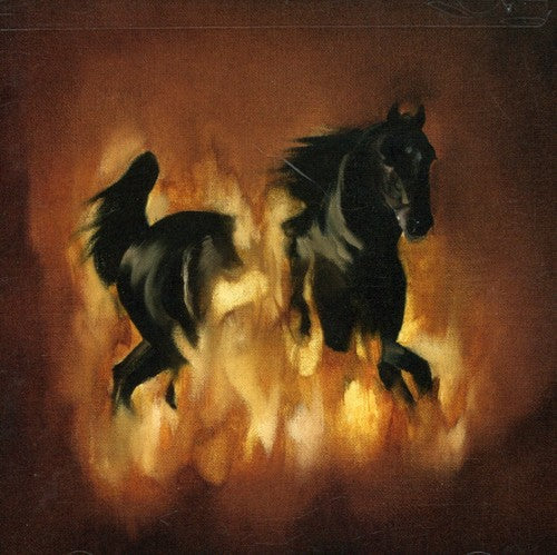 The Besnard Lakes: The Besnard Lakes Are The Dark Horse  \ CD