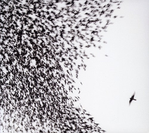 Wilco: Sky Blue Sky  \ CD