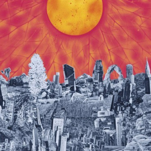 Parts & Labor- Mapmaker - VINYL