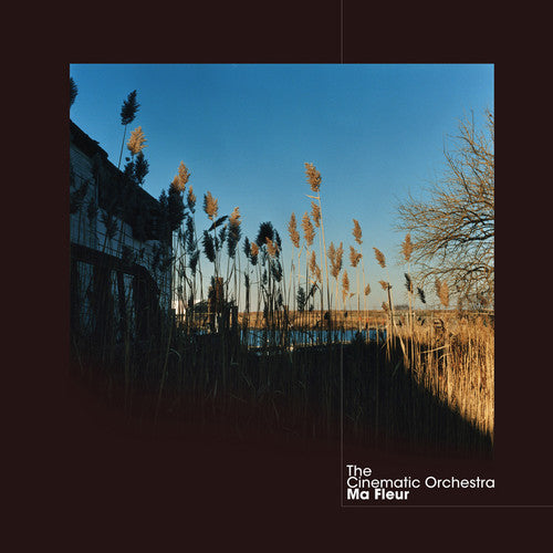 The Cinematic Orchestra- Ma Fleur - VINYL