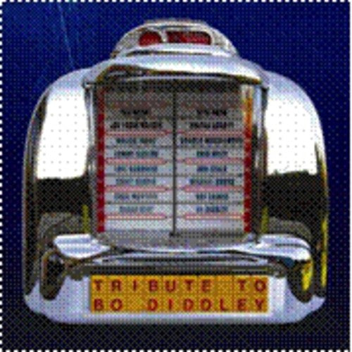 Various Artists: Tribute to Bo Diddley  \ CD
