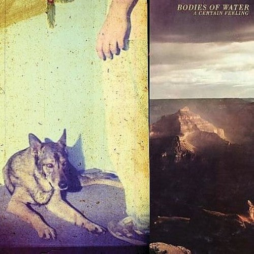 Bodies of Water: A Certain Feeling \ LP