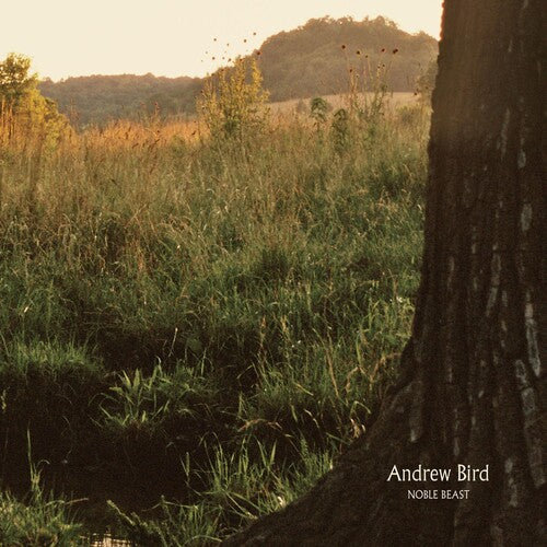 Andrew Bird: Noble Beast \ LP