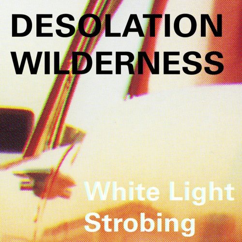 Desolation Wilderness: White Light Strobing  \ CD