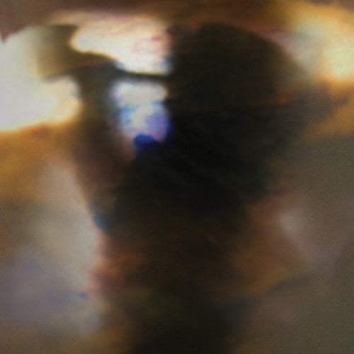 Animal Collective: Fall Be Kind \ LP