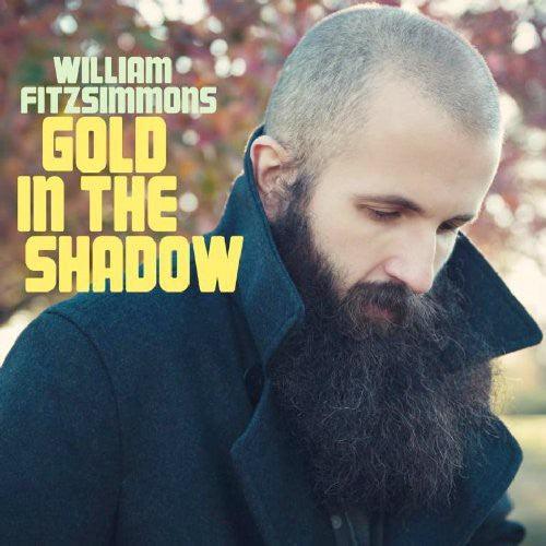 William Fitzsimmons- Gold in the Shadow - VINYL