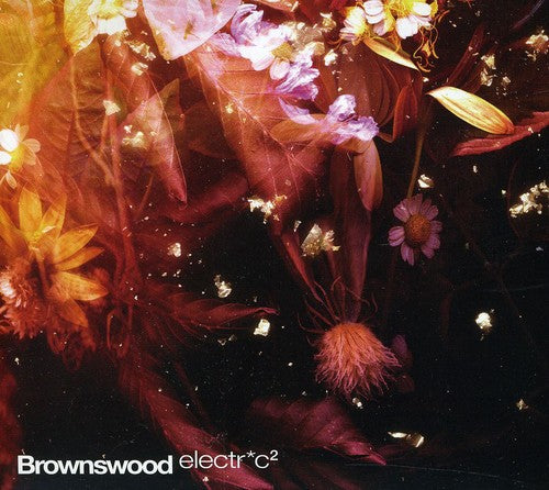 Various Artists: Brownswood Electr*c 2  \ CD