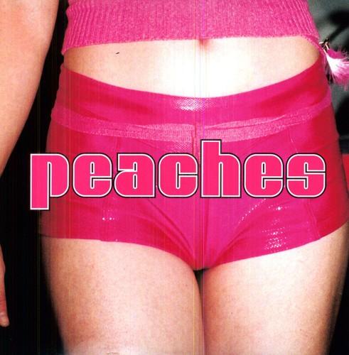 Peaches- The Teaches Of Peaches - VINYL