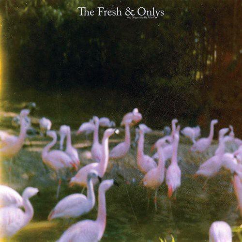 The Fresh & Onlys- August in My Mind - VINYL