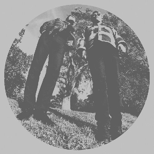 Ty Segall- Hair [LP] - VINYL