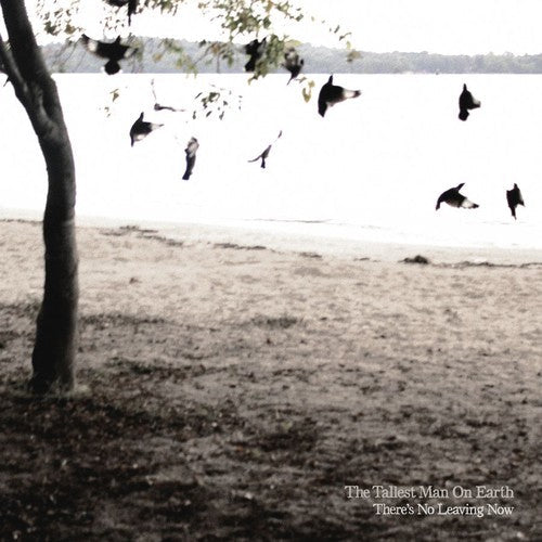 The Tallest Man on Earth: There's No Leaving Now  \ CD