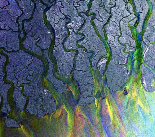 Alt-J: An Awesome Wave  \ CD