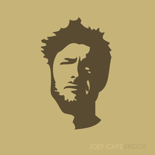 Joey Cape: Bridge \ LP