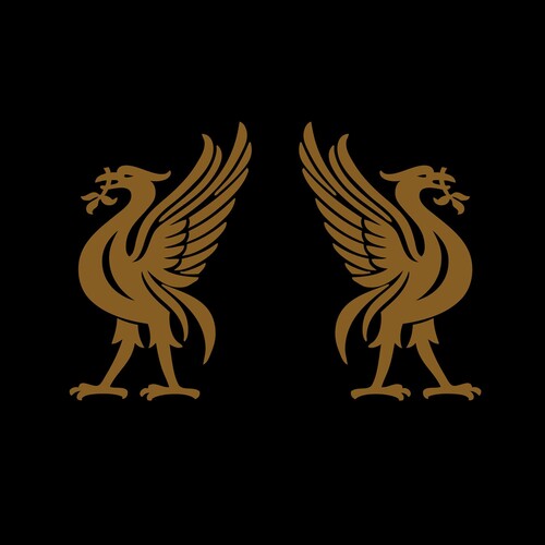 Joey Cape: Liverbirds \ LP