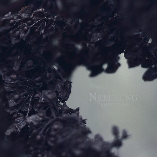 Nebelung: Palingenesis \ LP