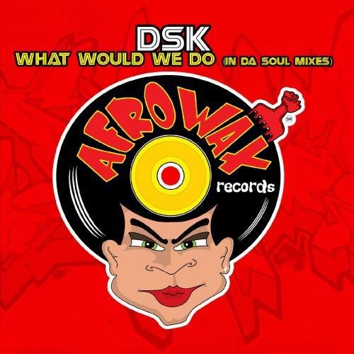 DSK: What Would We Do  \ CD