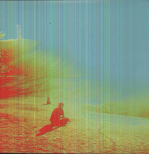 The Flaming Lips: The Terror \ LP
