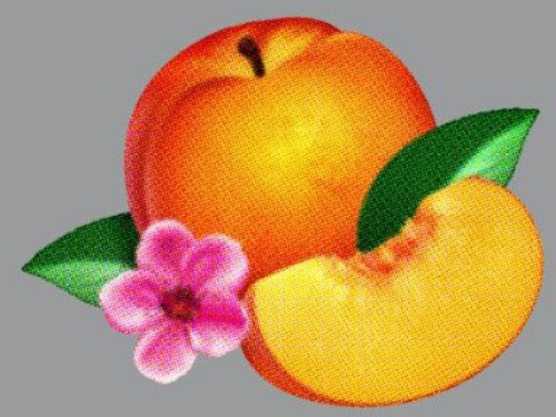 Phoenix: Bankrupt! \ LP