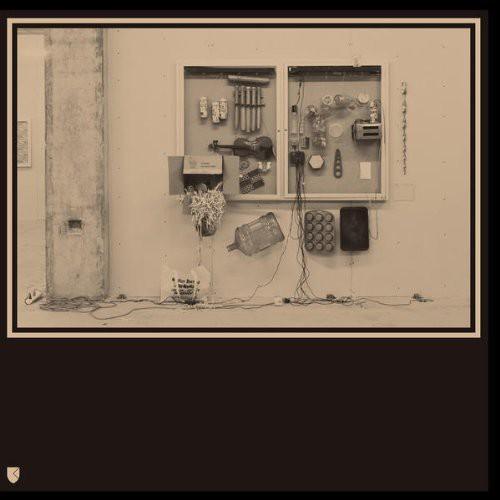 David Van Tieghem- Fits & Starts - VINYL