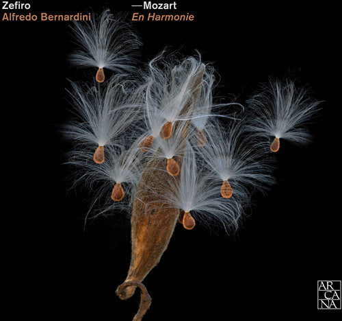 Mozart: En Harmonie  \ CD