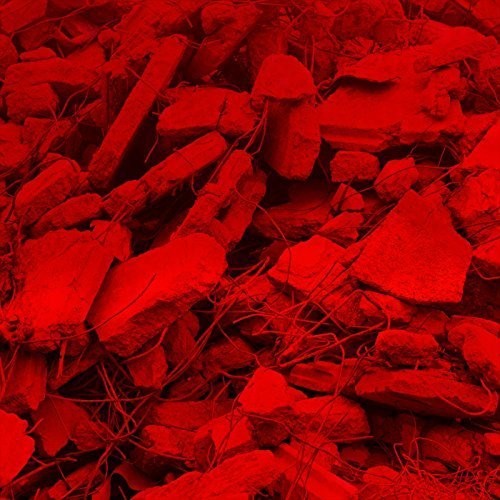 Jam City: Dream A Garden  \ CD