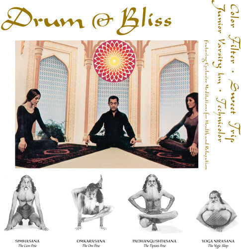 Various Artists: Drum & Bliss  \ CD