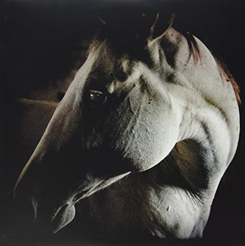Brother Dege: How to Kill a Horse \ LP