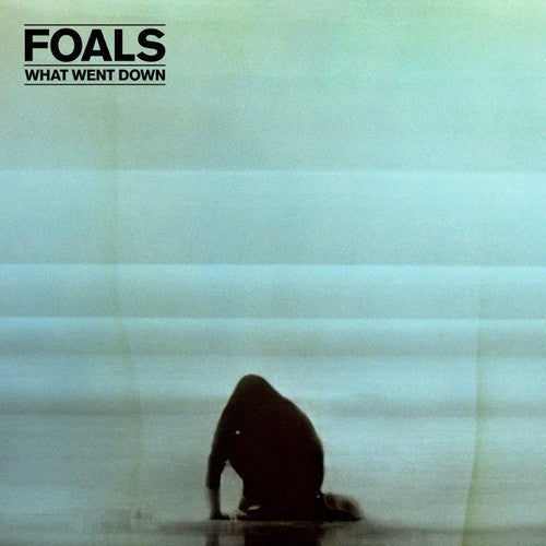 Foals: What Went Down - VINYL