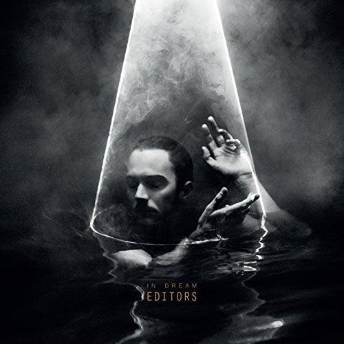 Editors- In Dream - VINYL
