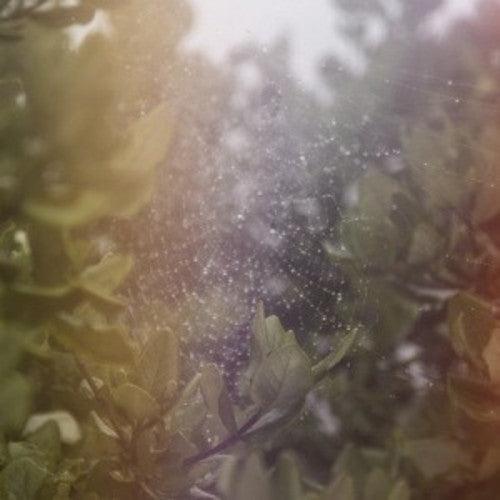 Posse- Perfect H / Voices - VINYL