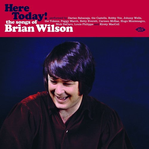 Here Today! Songs Of Brian Wilson / Various Uk- Here Today! Songs Of Brian Wilson / Various - VINYL