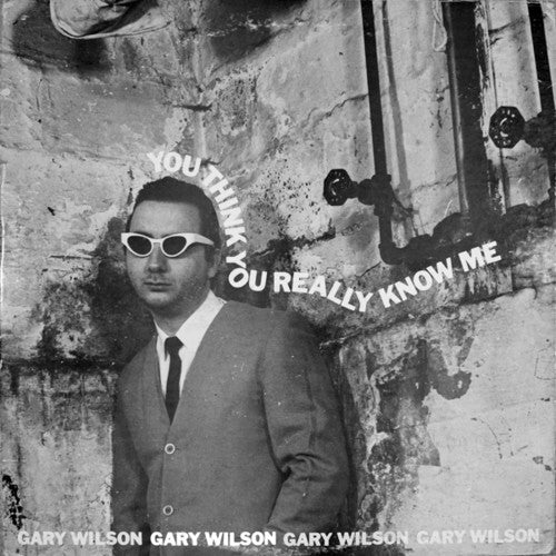 Gary Wilson- You Think You Really Know Me - VINYL