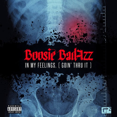 Boosie Badazz: In My Feelings (Goin' Thru It)  \ CD
