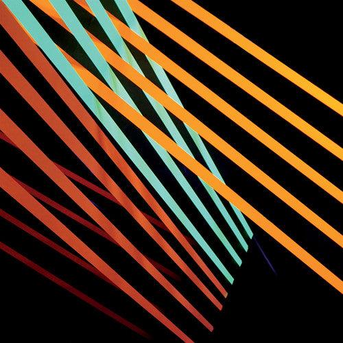 Shit Robot- What Follows - VINYL
