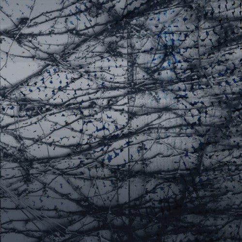Human Rays: Tension \ LP